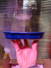 Load image into Gallery viewer, 8" Oval glazed Shallow Bonsai Pots