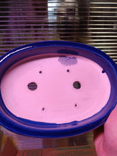 Load image into Gallery viewer, 8" Oval glazed Shallow Bonsai Pots
