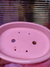 Load image into Gallery viewer, 8" Oval glazed Shallow Bonsai Pots