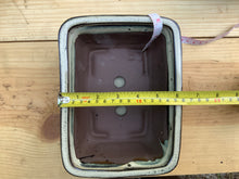 Load image into Gallery viewer, NEW 8" Glazed Ceramic Bonsai Pots w/Attached Humidity Trays.  Several Styles.