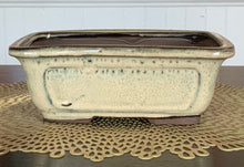 Load image into Gallery viewer, 8" Glazed Ceramic Bonsai Pots.  Several Styles.