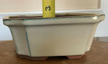 Load image into Gallery viewer, NEW 8" Glazed Ceramic Bonsai Pots.  Several Styles.