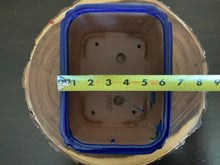 Load image into Gallery viewer, NEW 8" Glazed Ceramic Bonsai Pots.  Several Styles.