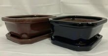 Load image into Gallery viewer, 6" Glazed Ceramic Bonsai Pots & Matching Trays ~ Quince Shaped