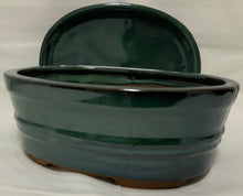 Load image into Gallery viewer, Elephant Jade Bonsai in 8" Glazed Ceramic Bonsai Pots & Matching Trays - Several Styles