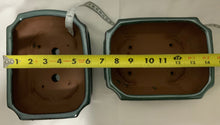 Load image into Gallery viewer, Ginseng Ficus Bonsai in 8" Glazed Ceramic Bonsai Pots & Matching Trays