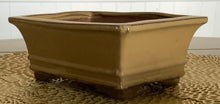 Load image into Gallery viewer, 8" Glazed Ceramic Bonsai Pots.  Several Styles.