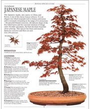 Load image into Gallery viewer, The Complete Book of Bonsai by Harry Tomlinson