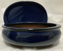 Load image into Gallery viewer, Elephant Jade Bonsai in 8" Glazed Ceramic Bonsai Pots & Matching Trays - Several Styles