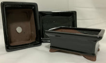 Load image into Gallery viewer, Juniper Procumbens Nana in a 4.5" Glazed Ceramic Bonsai Pot & Matching Tray ~ Tapered Rectangular Black