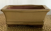Load image into Gallery viewer, 8" Glazed Ceramic Bonsai Pots.  Several Styles.