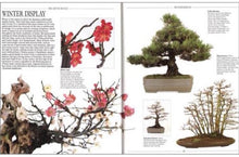 Load image into Gallery viewer, The Complete Book of Bonsai by Harry Tomlinson
