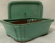 Load image into Gallery viewer, Elephant Jade Bonsai in 8" Glazed Ceramic Bonsai Pots & Matching Trays - Several Styles