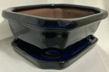 Load image into Gallery viewer, Juniper Procumbens Nana Bonsai in 6" Glazed Ceramic Bonsai Pots & Matching Trays ~ Quince Shaped