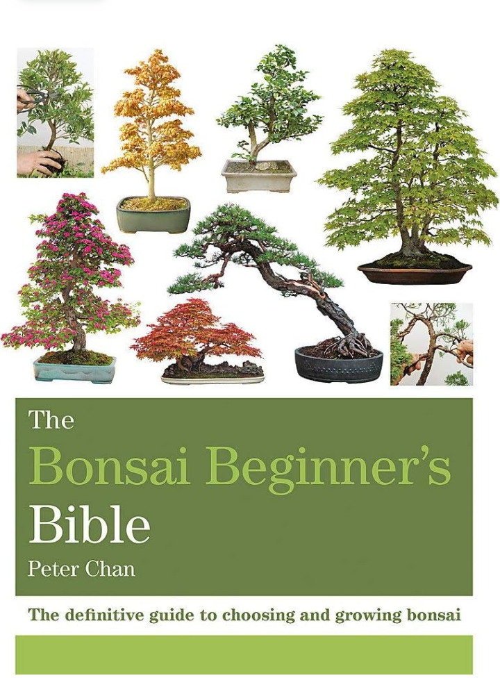 The Bonsai Beginner's Bible Peter Chan