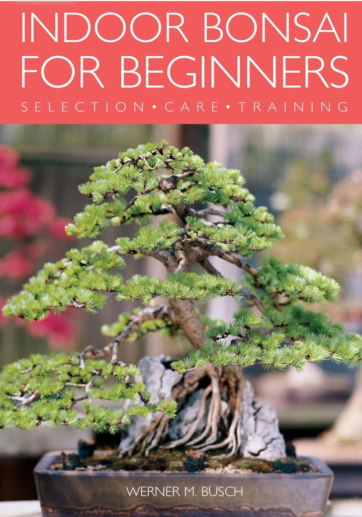 Indoor Bonsai For Beginners Werner M Busch