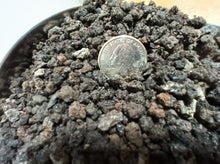 Load image into Gallery viewer, 7 pounds (dry) Black lava for bonsai
