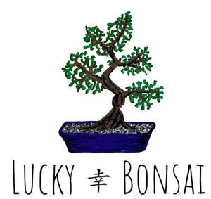 Lucky Bonsai