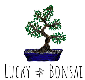 bonsai tree is lucky Lucky Bonsai Gift Card