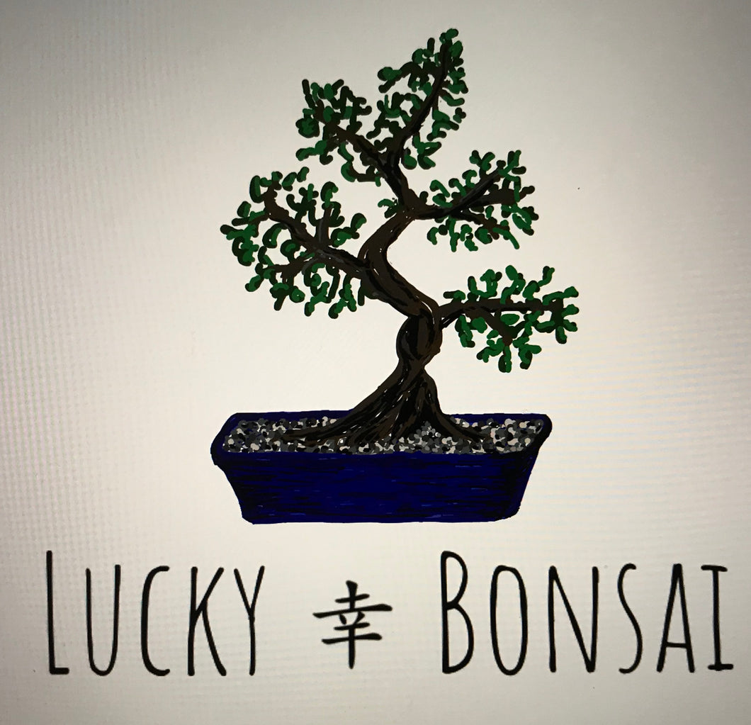 Lucky Bonsai Gift Card