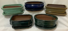 Load image into Gallery viewer, Elephant Jade Bonsai in 8&quot; Glazed Ceramic Bonsai Pots &amp; Matching Trays - Several Styles
