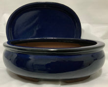 Load image into Gallery viewer, Ginseng Ficus Bonsai in 8&quot; Glazed Ceramic Bonsai Pots &amp; Matching Trays
